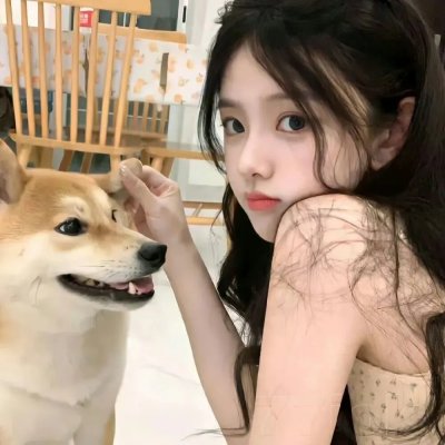 精灵宝可梦太阳&月亮